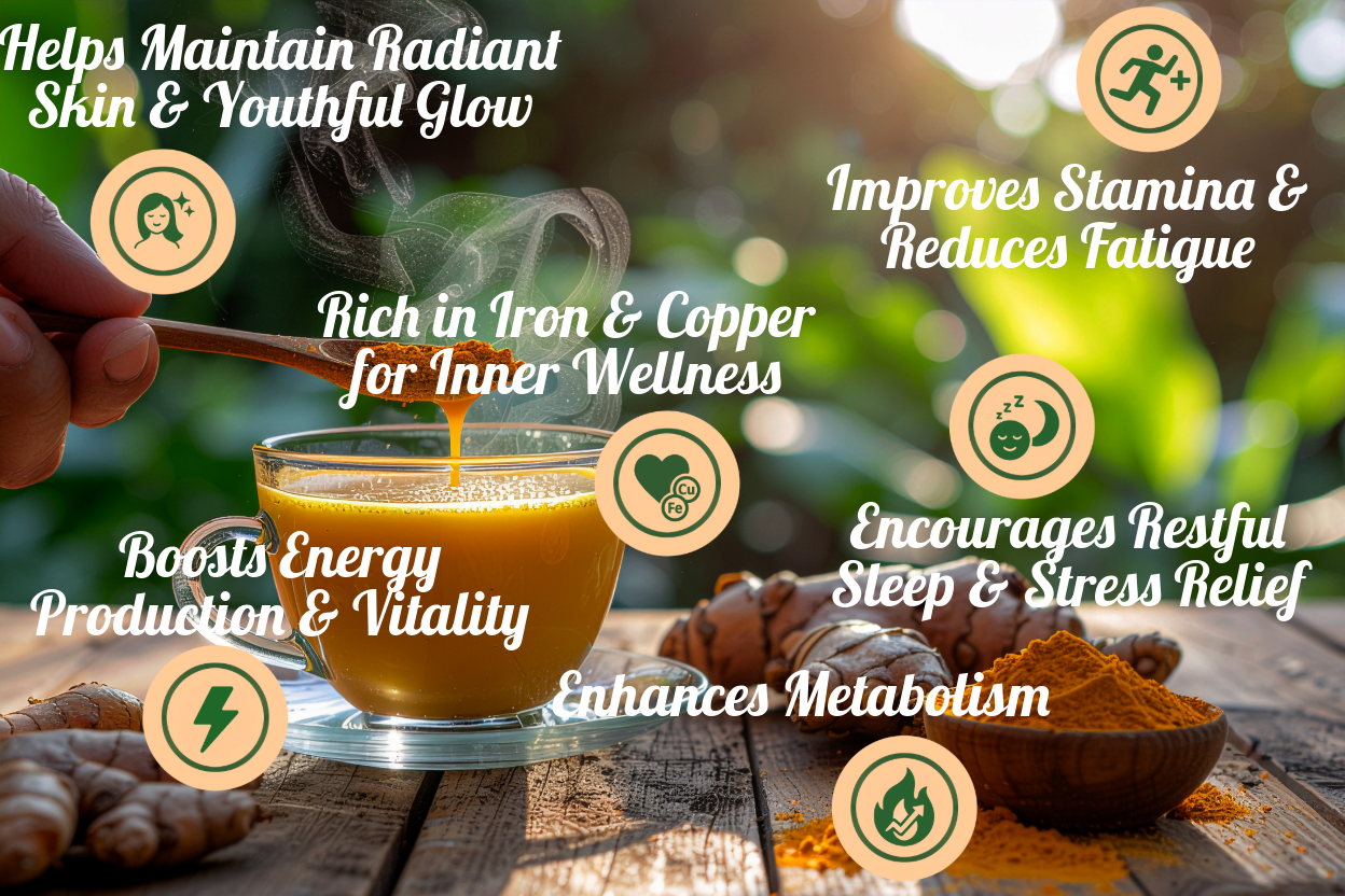 Curcumin Enriched Turmeric Powder 100g