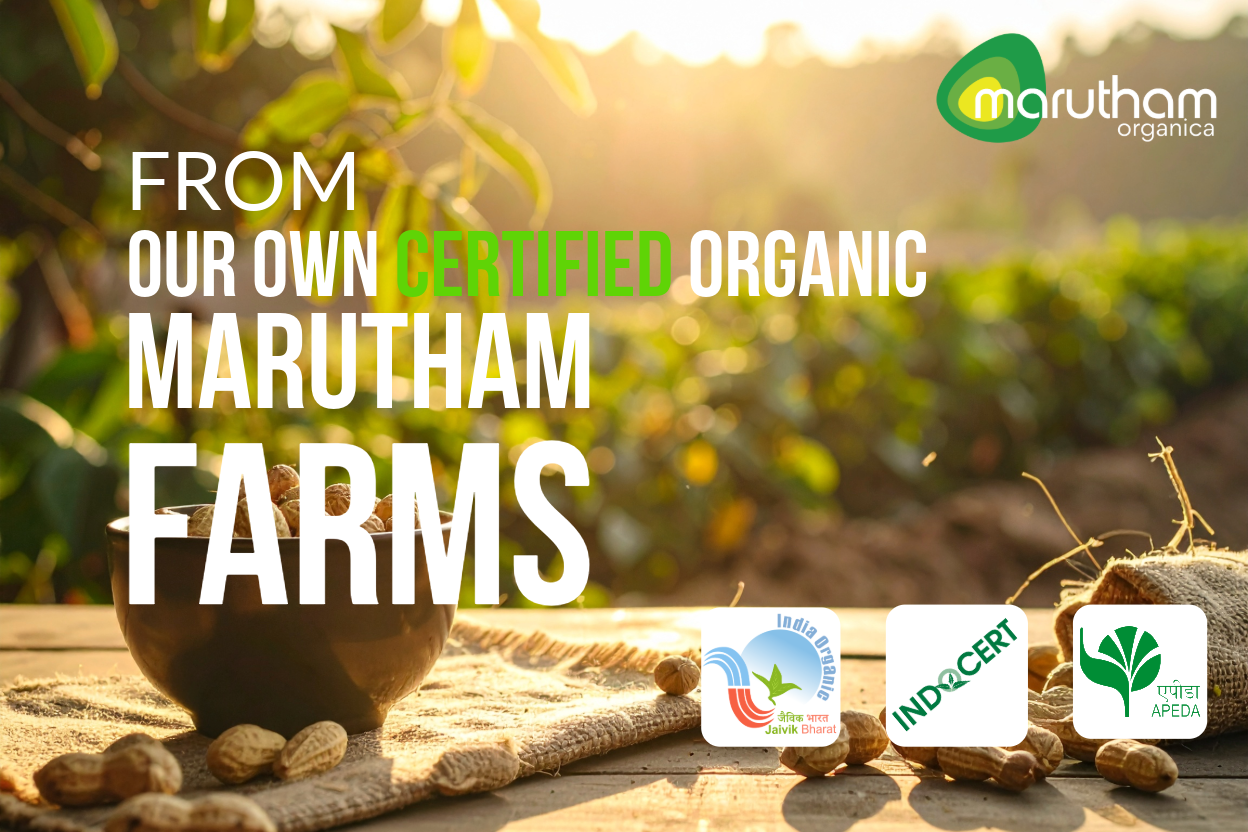 Authentic Organic Wood Cold-Pressed Groundnut (Peanut) Oil 1L