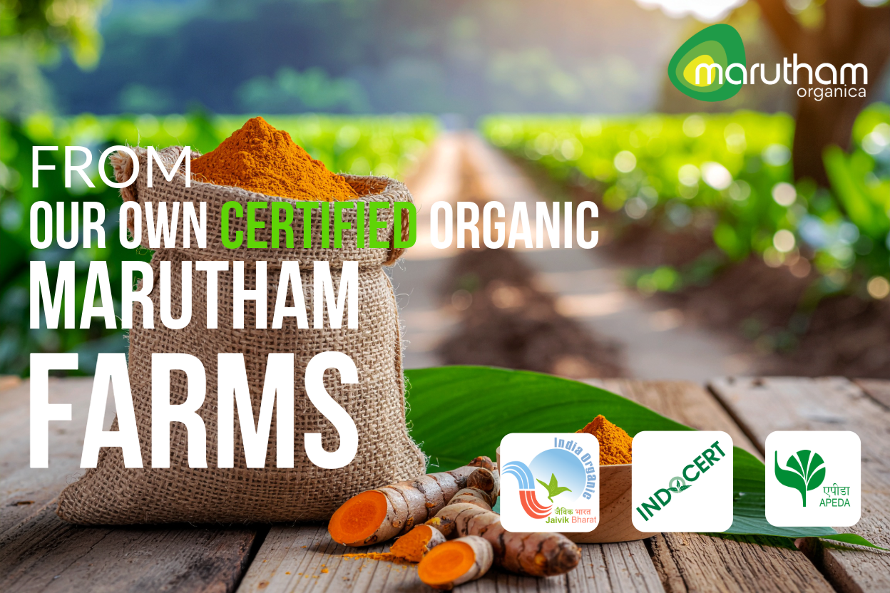 Curcumin Enriched Turmeric Powder 50g